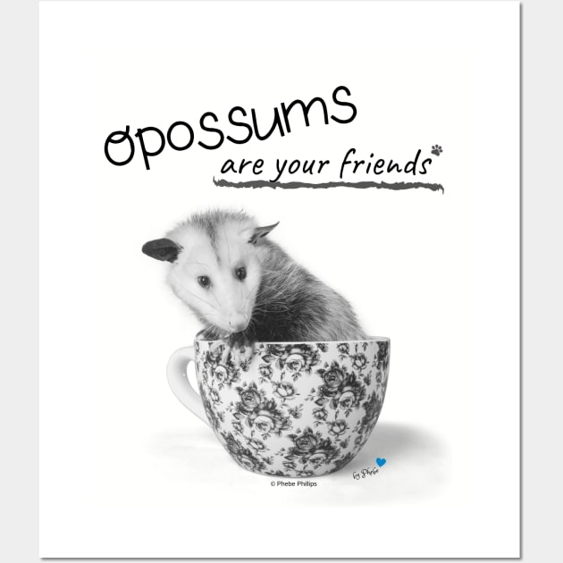 Opossums Are Your Friends Wall Art by Phebe Phillips